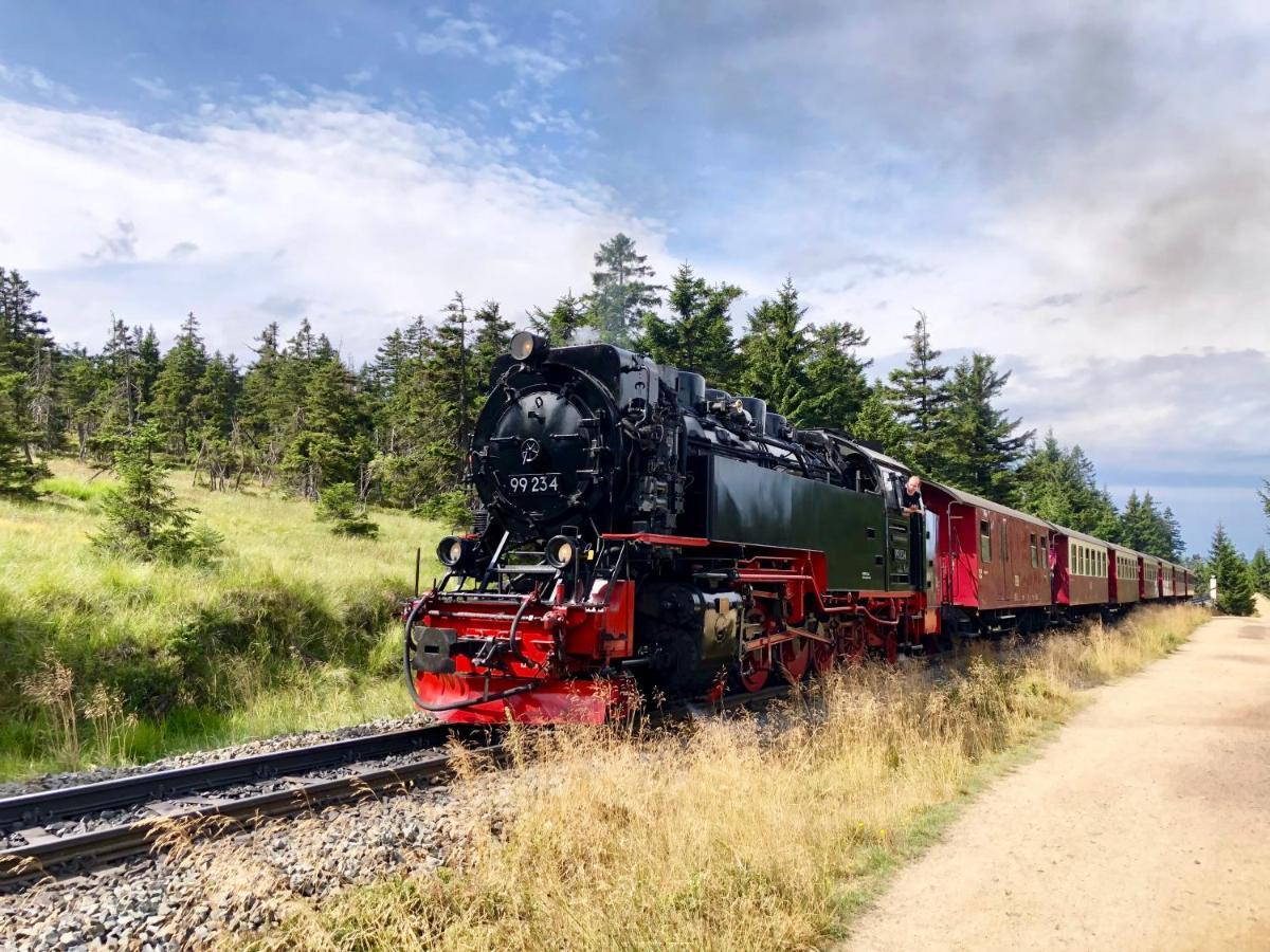 Fewo Bergahorn Mit Wintergarten #Fernblick#Netflix Und Vieles Mehr Von Harztraveler Bad Harzburg Buitenkant foto